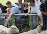 Lambeth Country Show