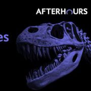 Nočná udalosť Dino Snores v múzeu prírodovednej histórie