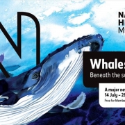 Výstava veľrýb v Londýne