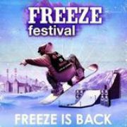 Freeze Festival