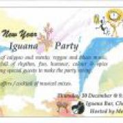 Iguana Party - "Pre-New-Year" Party - live music