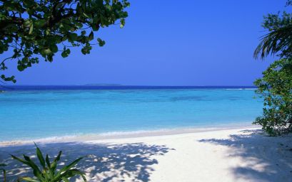 maldives_tropical_beach_sand_palm_trees_sea_87999_1920x1200.jpg