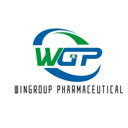 wuhanwingroup logo(1).jpg