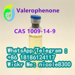 CAS 1009-14-9 Valerophenone yellow liquid 99% purity 22.03.2023