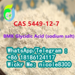 BMK Glycidic Acid (sodium salt) White powder 99% 5449-12-7 22.03.2023