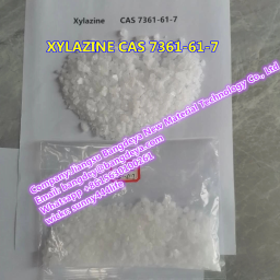 XYLAZINE CAS 7361-61-7 xylazine hcl CAS23076-35-9 2023-09-15
