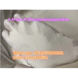 1-N-Boc-4-(Phenylamino)piperidine CAS125541-22-2 in stock 2023-09-18