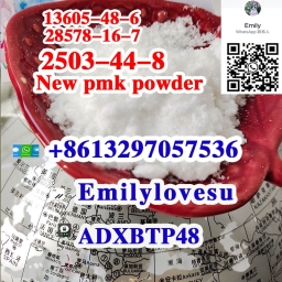 2503-44-8 PMK powder CAS 28578-16-7 PMK ethyl glycidate powder cas 13605-48-6 Netherland pick up 10.10.2023