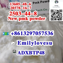 2503-44-8 PMK powder CAS 28578-16-7 PMK ethyl glycidate powder cas 13605-48-6 Netherland pick up 10.10.2023