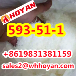 593-51-1 Methylamine Hydrochloride Methylamine HCl White Powder +8619831381159 2023-10-16