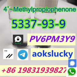 Manufacture High Quality CAS 5337-93-9 4-Methylpropiophenone with Fast Delivery From Stock 2023-10-19