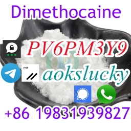 Hot selling Dimethocaine,Dimethocaine Hydrochloride,Dimethocaine hcl with 100% safe shipping and best price 2023-10-19