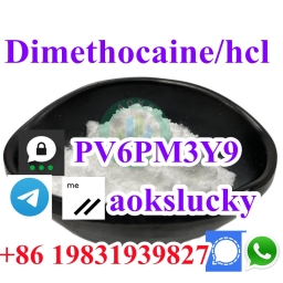 Sell Dimethocaine,Dimethocaine Hydrochloride,Dimethocaine hcl cas 94-15-5/553-63-9 with safe shipping and good price 2023-10-19