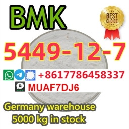 CAS5449-12-7 Germany large stock supply BMK Glycidate BMK Glycidic Acid POWDER 5449-12-7 2023-11-02
