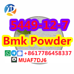 CAS5449-12-7 Germany large stock supply BMK Glycidate BMK Glycidic Acid POWDER 5449-12-7 2023-11-02
