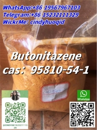 Butonitazene 95810-54-1-1 2023-11-10