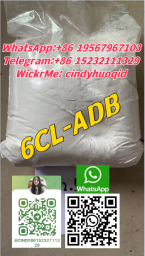 6CL-ADB-1 2023-11-10