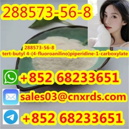 Secure Delivery of CAS:288573-56-8 tert-butyl 4-(4-fluoroanilino)piperidine-1-carboxylate-1 2023-12-05