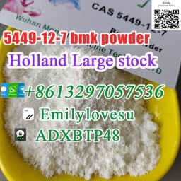 BMK Powder 5449-12-7/5413-05-8 High Yield 2024-01-04