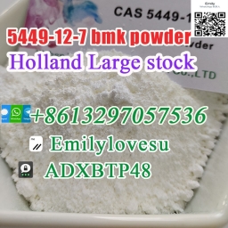 BMK Powder 5449-12-7/5413-05-8 High Yield 2024-01-04
