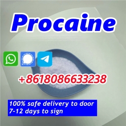 Procaine hcl 51-05-8 procaine hydrochloride powder procaina 2024-01-11