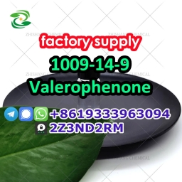 Valerophenone 1009-14-9 factory price door to door 2024-01-24