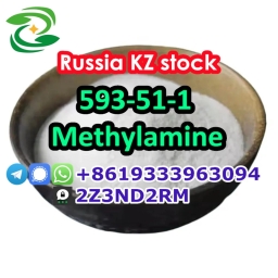 KZ Kazakhstan methylamine hydrochloride 593-51-1 2024-01-24
