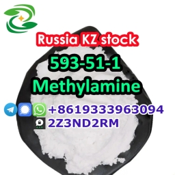 KZ Kazakhstan methylamine hydrochloride 593-51-1 2024-01-24