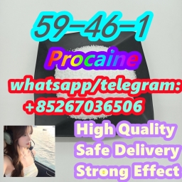 Safe Delivery 59-46-1 Procaine 2024-03-13