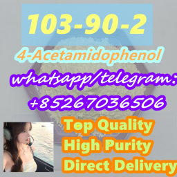 103-90-2 4-Acetamidophenol 2024-03-13