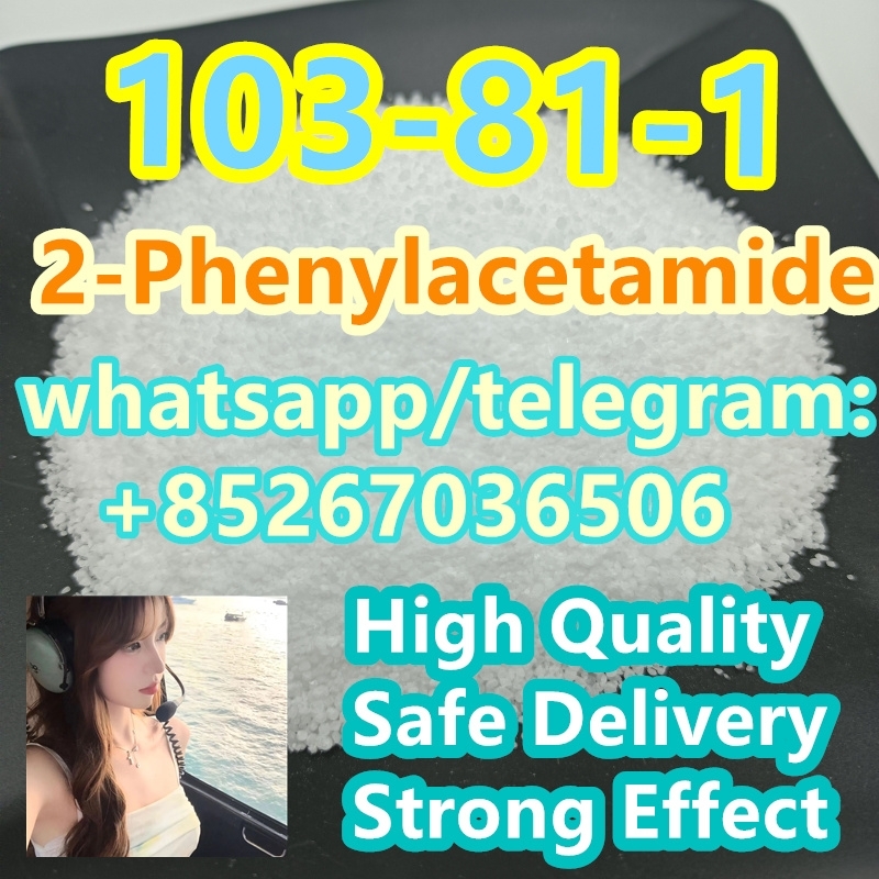 103-81-1 2-Phenylacetamide 2024-03-13 - 103-81-1 2-Phenylacetamide
