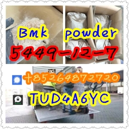 netherland self pick up bmk powder oil 5449-12-7 25547-51-7 20320-59-6 41232-97-7 29.03.2024