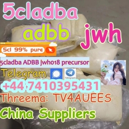 Best quality 5cladba 5cladb adbb 4fadb 5fadb cas 137350-66-4 in stock for sale!-1 24-04-30