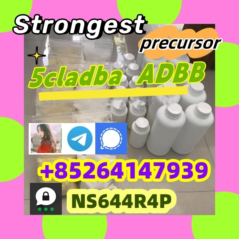 Buy most powerful 5cladba precursor raw 5cl-adb-a raw material 2024-04-30
