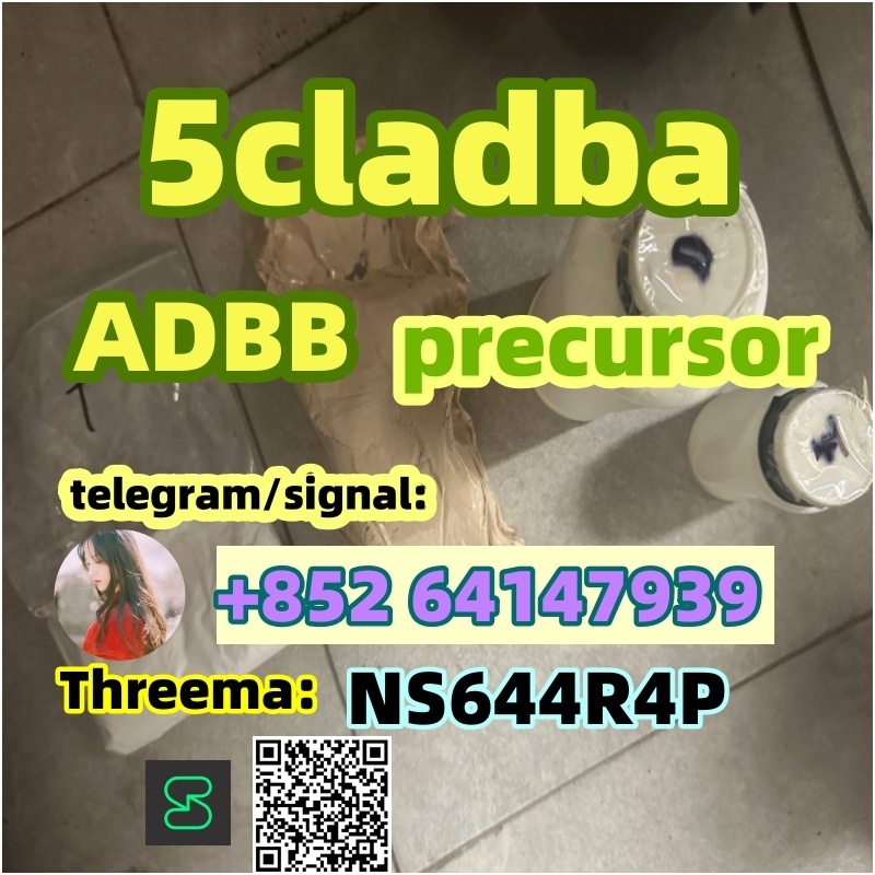 Europe stock ADBB adb-butinaca Cas 2682867-55-4 5cladba for sale 2024-04-30