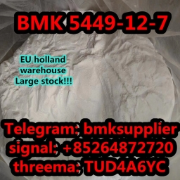 CAS 5449-12-7 BMK Glycidic Acid (sodium salt) bmk powder warehouse stock 2024-05-09