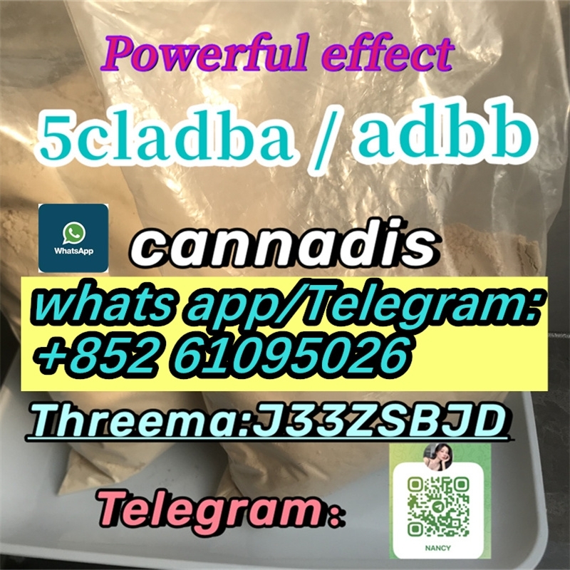 Stream 5cladba powder 5cl adbb precursor 5cladba-1-2-3-4-5-6-7-8-9-10-11-12-13 24-05-09