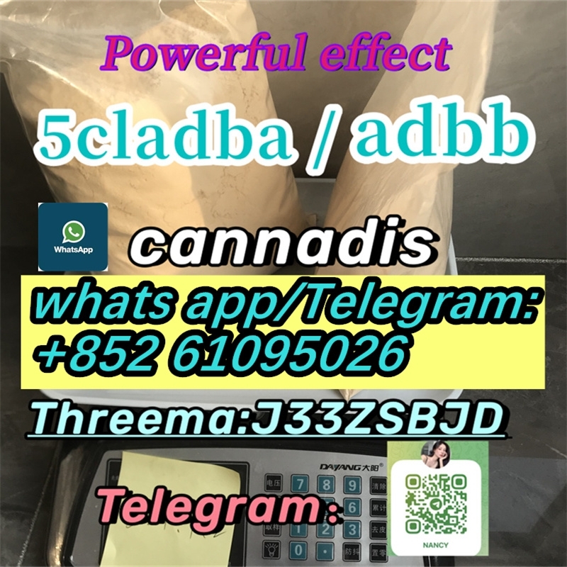 Stream 5cladba powder 5cl adbb precursor 5cladba-1-2-3-4-5-6-7-8-9-10-11-12-13 24-05-09