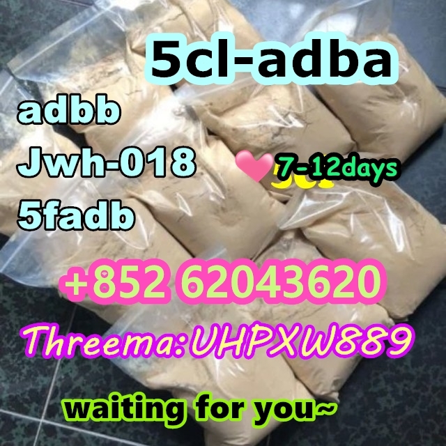 5Cladba ADBB 5cladba buy 6cl adbb powder 5cl ADBB precursor materials-1-2 24.05.2024