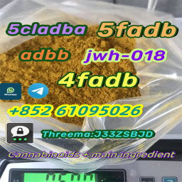 Raw Materials 5CLADBA supplier 5cl 5cl adb with high-quality-1-2-3-4-5-6-7 2024-05-27
