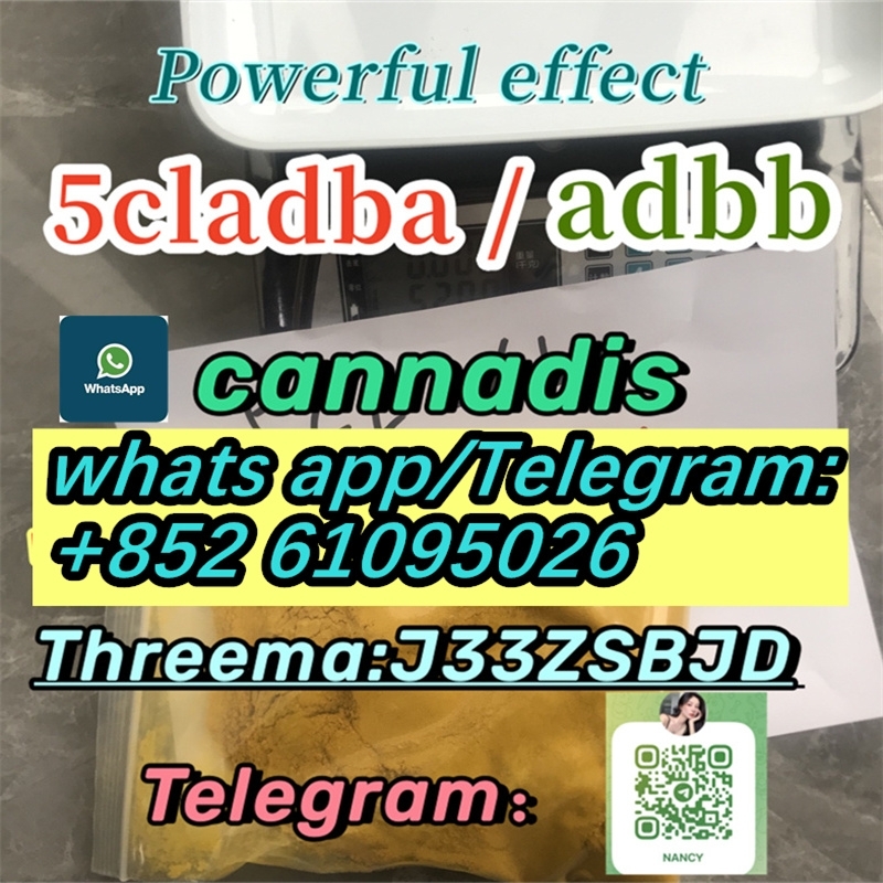 5cladba precursor,5cladba powderdfsd-1-2 2024-05-27