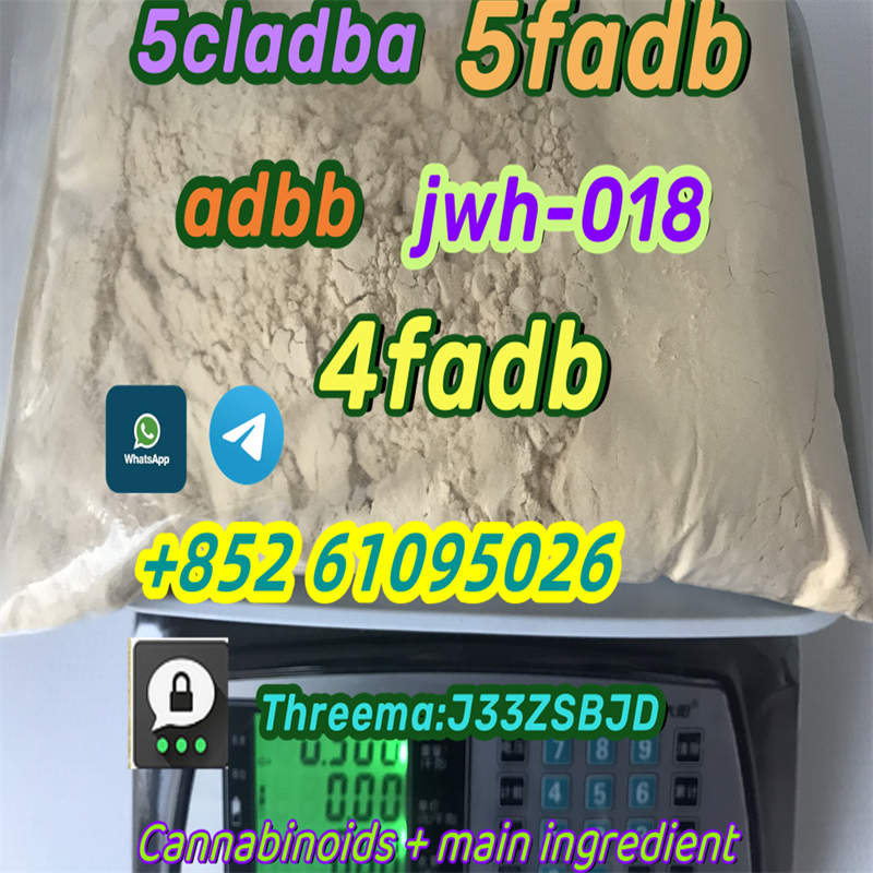 5cladba precursor 5cl powder-1-2-3-4-5-6-7-8-9-10-11-12-13-14-15 2024-05-27